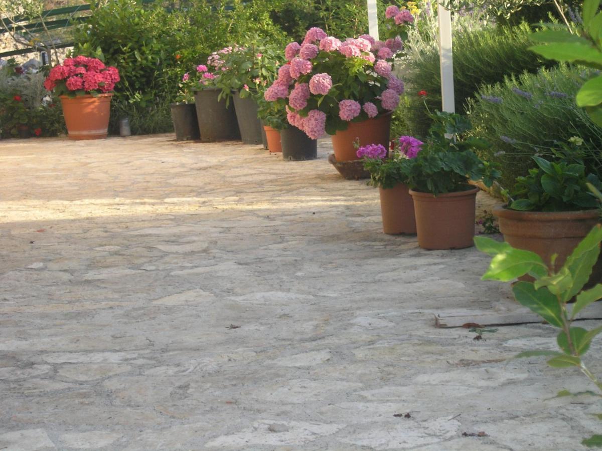 Villa Botanica Rogoznica  Exterior foto
