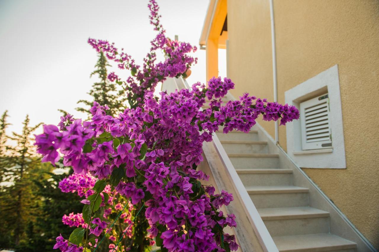 Villa Botanica Rogoznica  Exterior foto